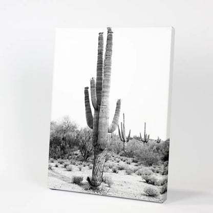 Black White Saguaro Cactus Poster. Arizona Desert Nature. Canvas Print