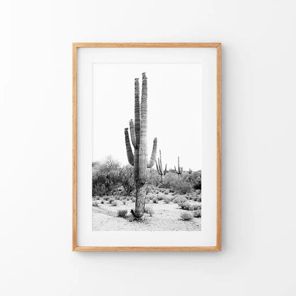 Black White Saguaro Cactus Poster. Arizona Desert Nature. Thin Wood Frame with Mat