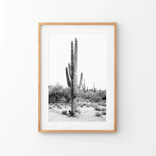 Load image into Gallery viewer, Black White Saguaro Cactus Poster. Arizona Desert Nature. Thin Wood Frame with Mat
