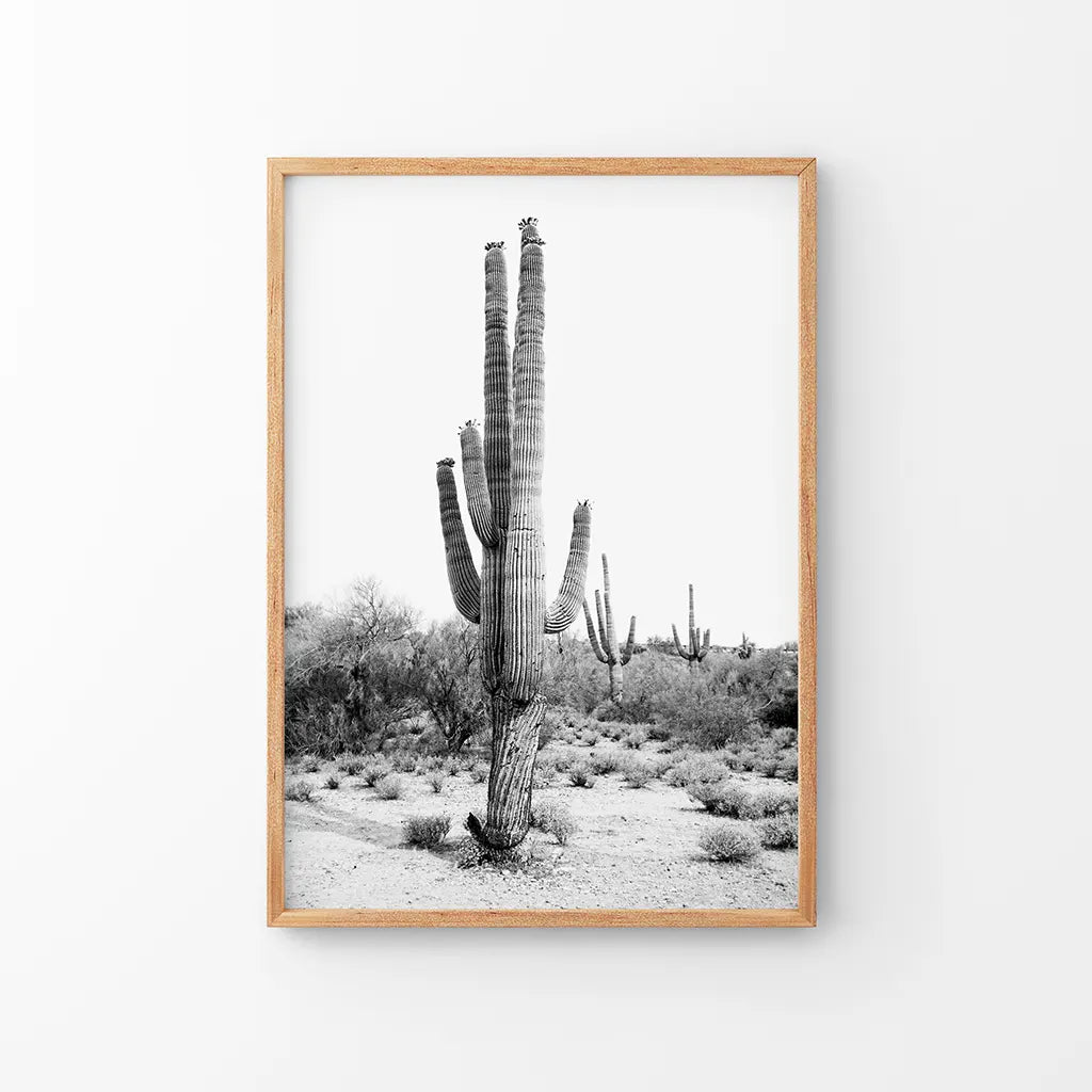 Black White Saguaro Cactus Poster. Arizona Desert Nature. Thin Wood Frame