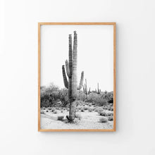 Load image into Gallery viewer, Black White Saguaro Cactus Poster. Arizona Desert Nature. Thin Wood Frame
