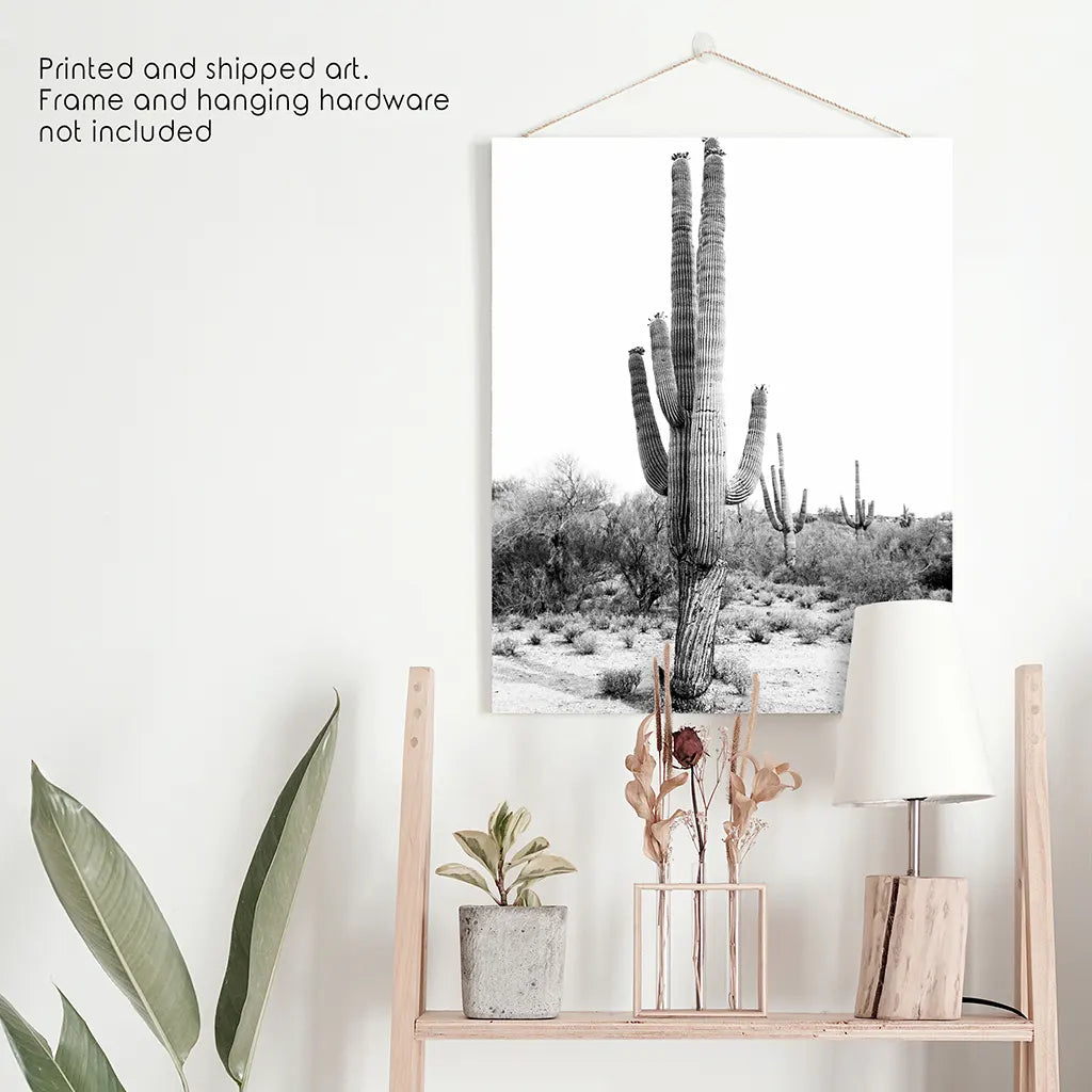 Black White Saguaro Cactus Poster. Arizona Desert Nature. Unframed Print