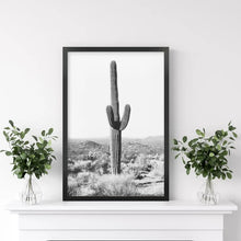 Load image into Gallery viewer, Saguaro Cactus Print. Black White Arizona Desert Nature. Black Frame
