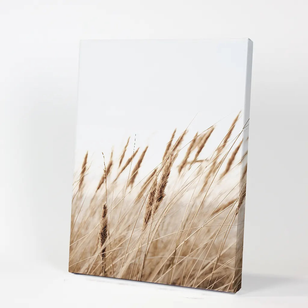 Bohemian Pampas Grass Print. Nature Inspired Theme. Canvas Print