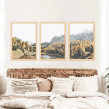 Load image into Gallery viewer, Brown Autumn Wall Art. Mountain Lake and Forest.  Wood Frames
