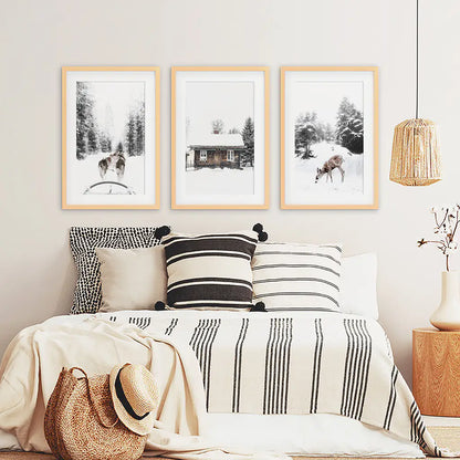 3 Piece Christmas Mood Photo Set. Winter Landscape. Wood Frames with Mat