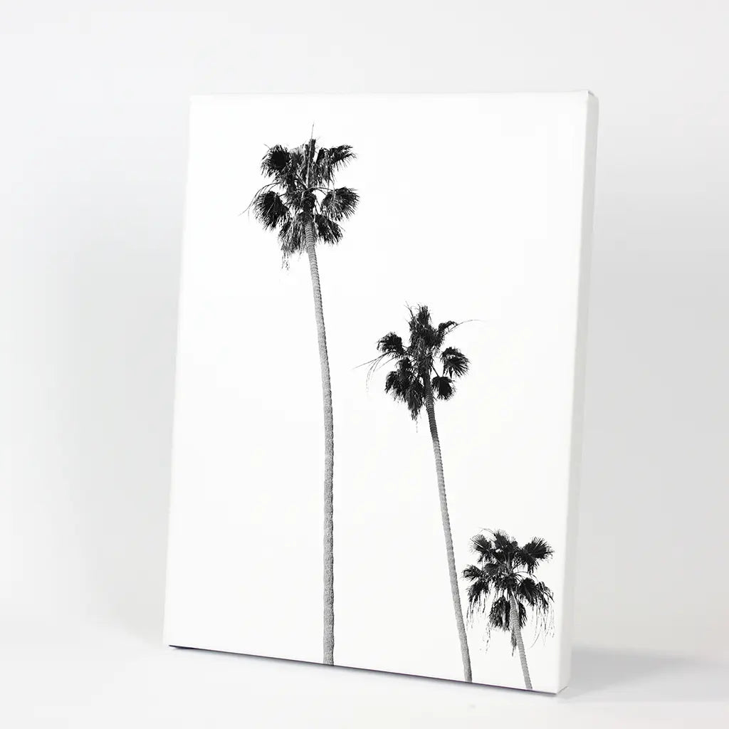 Tropical Black Palm Trees Wall Decor. Canvas Print