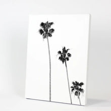 Load image into Gallery viewer, Tropical Black Palm Trees Wall Decor. Canvas Print
