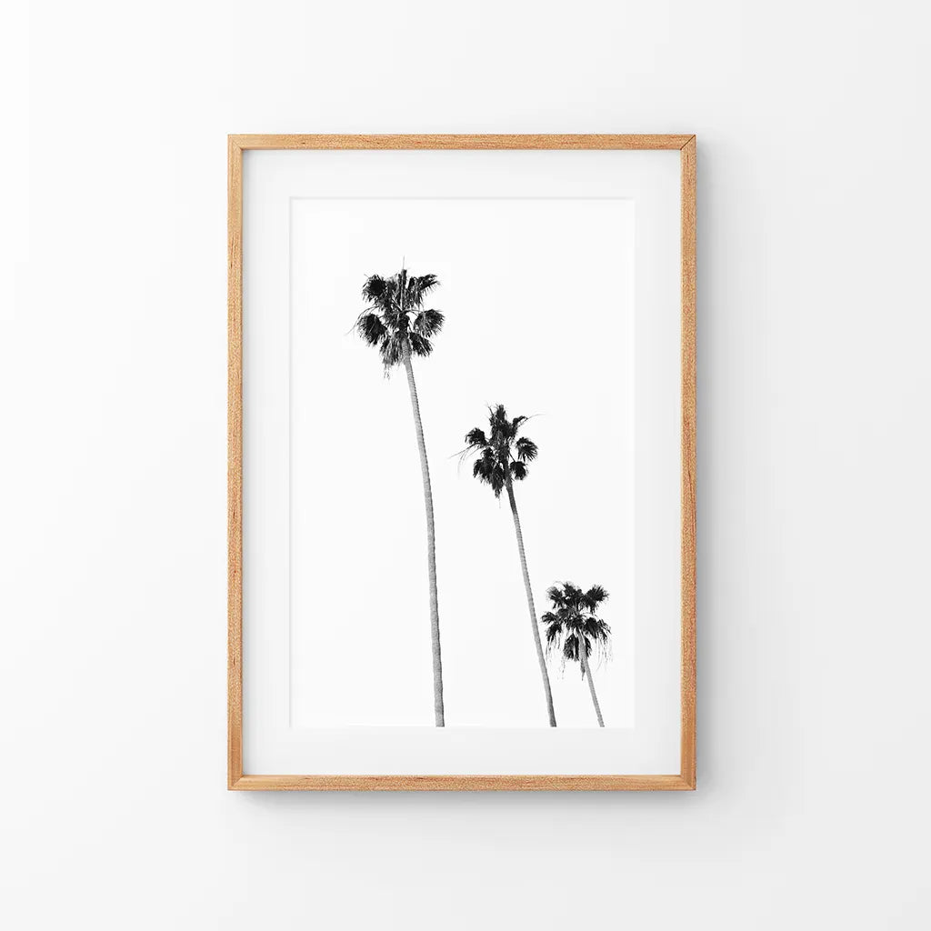 Tropical Black Palm Trees Wall Decor. Thin Wood Frame with Mat