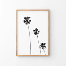 Load image into Gallery viewer, Tropical Black Palm Trees Wall Decor. Thin Wood Frame
