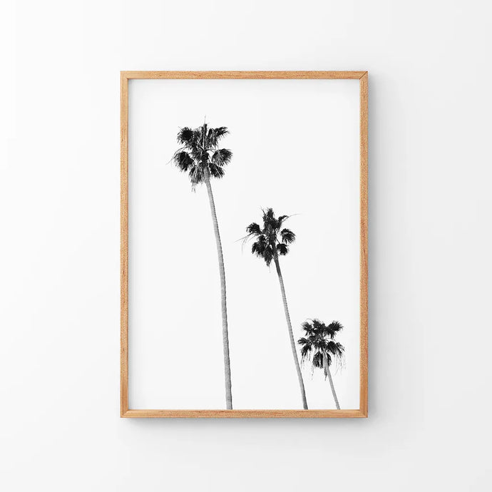Tropical Black Palm Trees Wall Decor. Thin Wood Frame