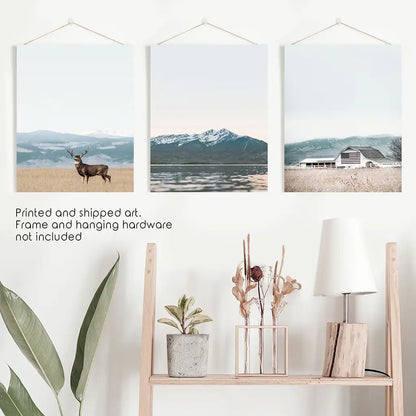 Set of 3 US Nature Photography. Colorado Travel Wall Art