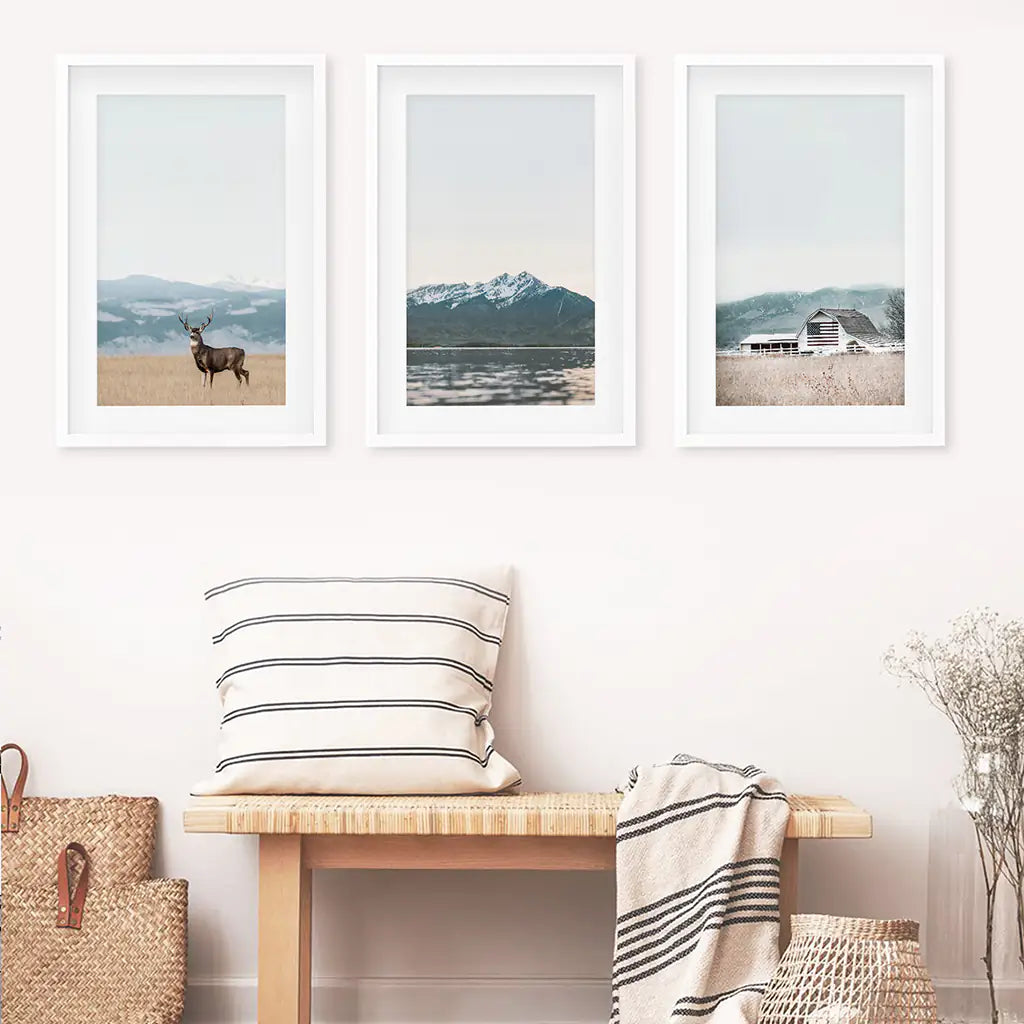 Set of 3 US Nature Photography. Colorado Travel Wall Art