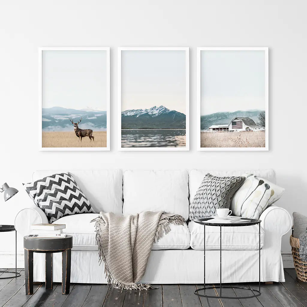 Set of 3 US Nature Photography. Colorado Travel Wall Art