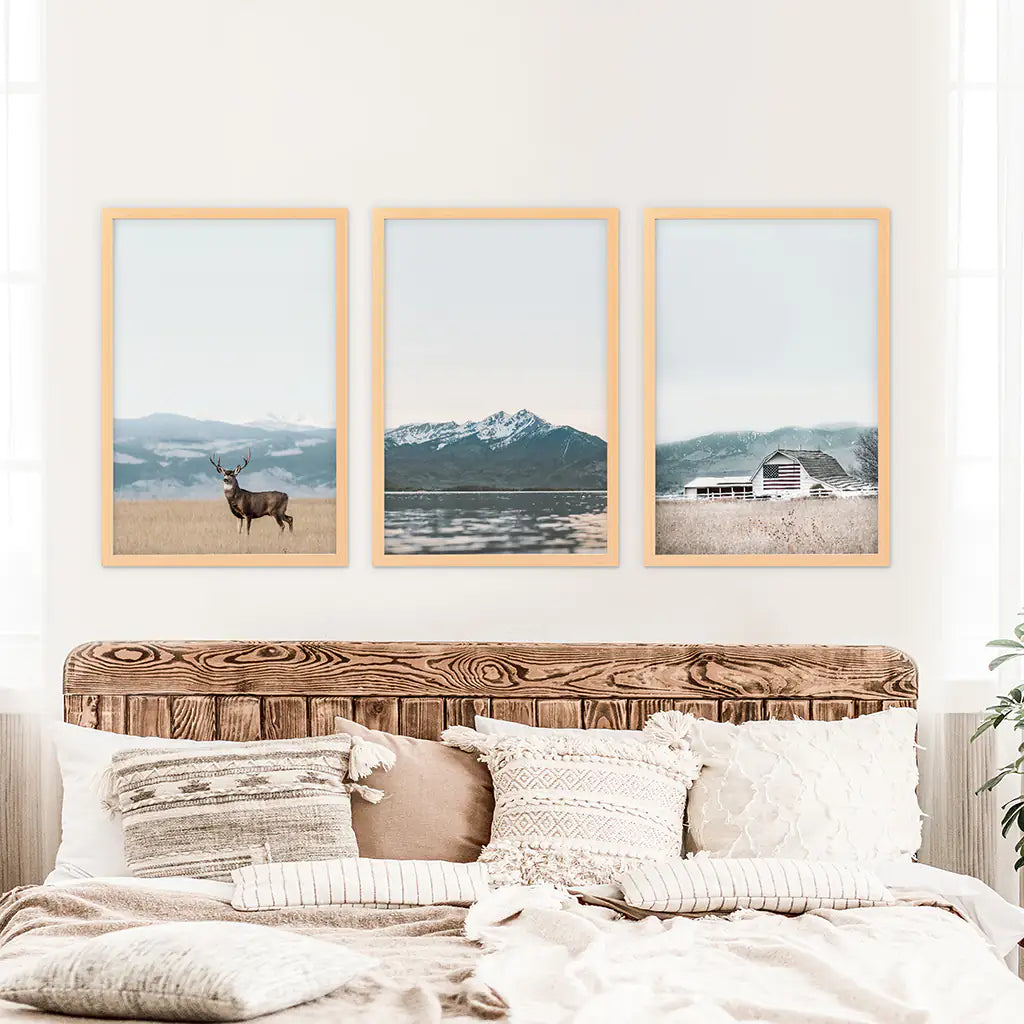 Set of 3 US Nature Photography. Colorado Travel Wall Art