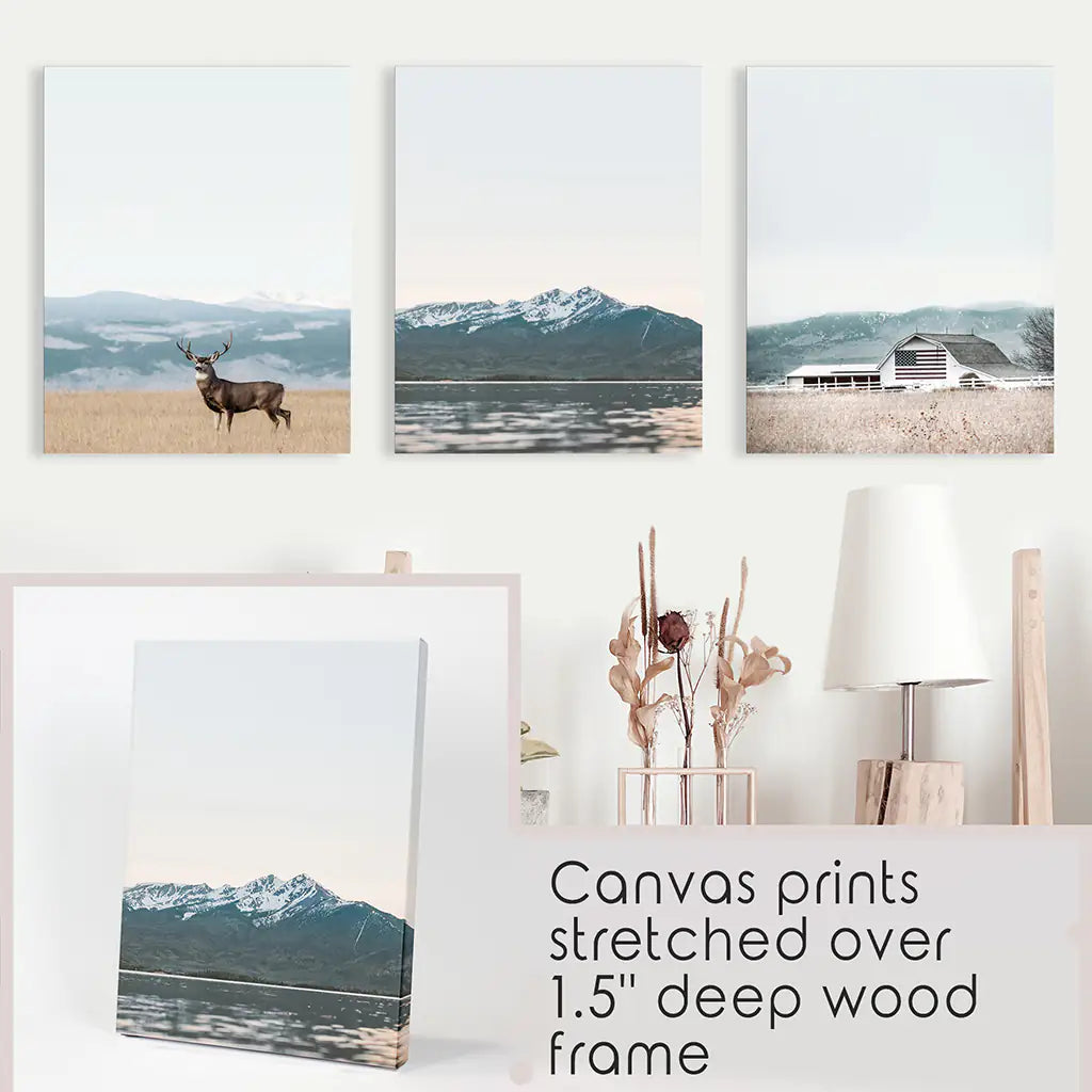 Set of 3 US Nature Photography. Colorado Travel Wall Art