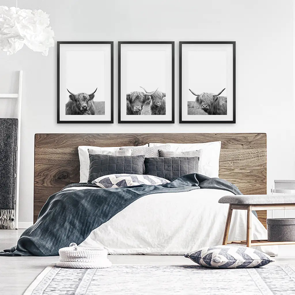 Scottish Cow Black White Wall Art Set of 3. Black Frames with Mat