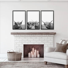 Load image into Gallery viewer, Scottish Cow Black White Wall Art Set of 3. Black Frames
