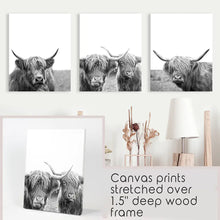 Load image into Gallery viewer, Scottish Cow Black White Wall Art Set of 3. Wrapped Canvas Prints
