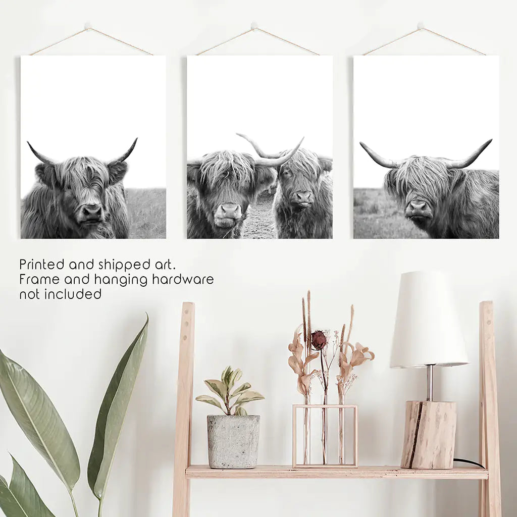 Scottish Cow Black White Wall Art Set of 3. Unframed Prints