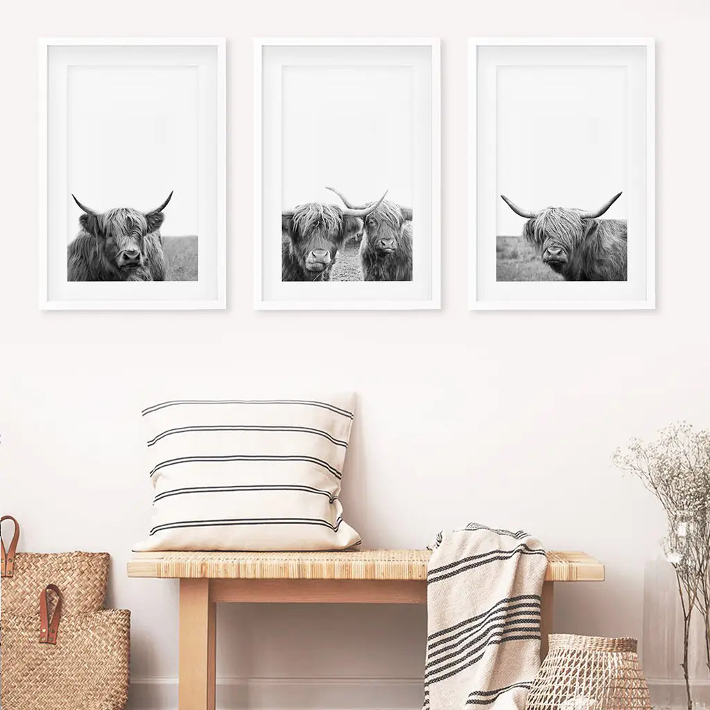 Scottish Cow Black White Wall Art Set of 3. White Frames with Mat