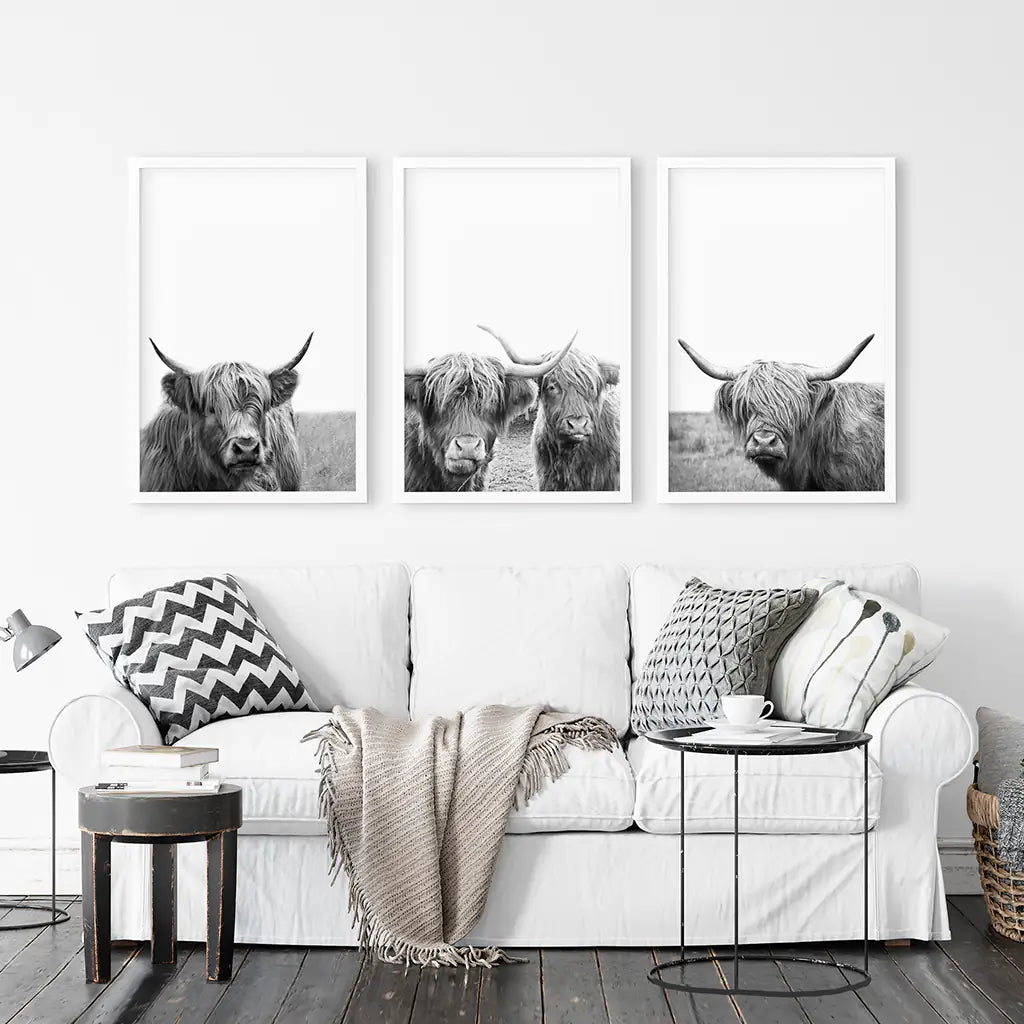 Scottish Cow Black White Wall Art Set of 3. White Frames