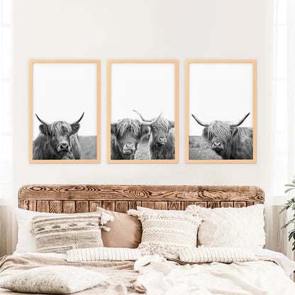 Scottish Cow Black White Wall Art Set of 3. Wood Frames