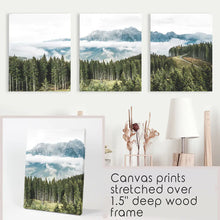 Load image into Gallery viewer, 3 Piece Wall Art. Green Pine Tree Forest in Blue Mountains. Stretched Canvas
