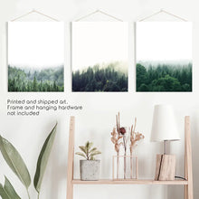 Load image into Gallery viewer, Modern Minimalist Forest Photography. Nordic Wall Art Set
