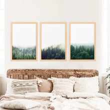Load image into Gallery viewer, Modern Minimalist Forest Photography. Nordic Wall Art Set
