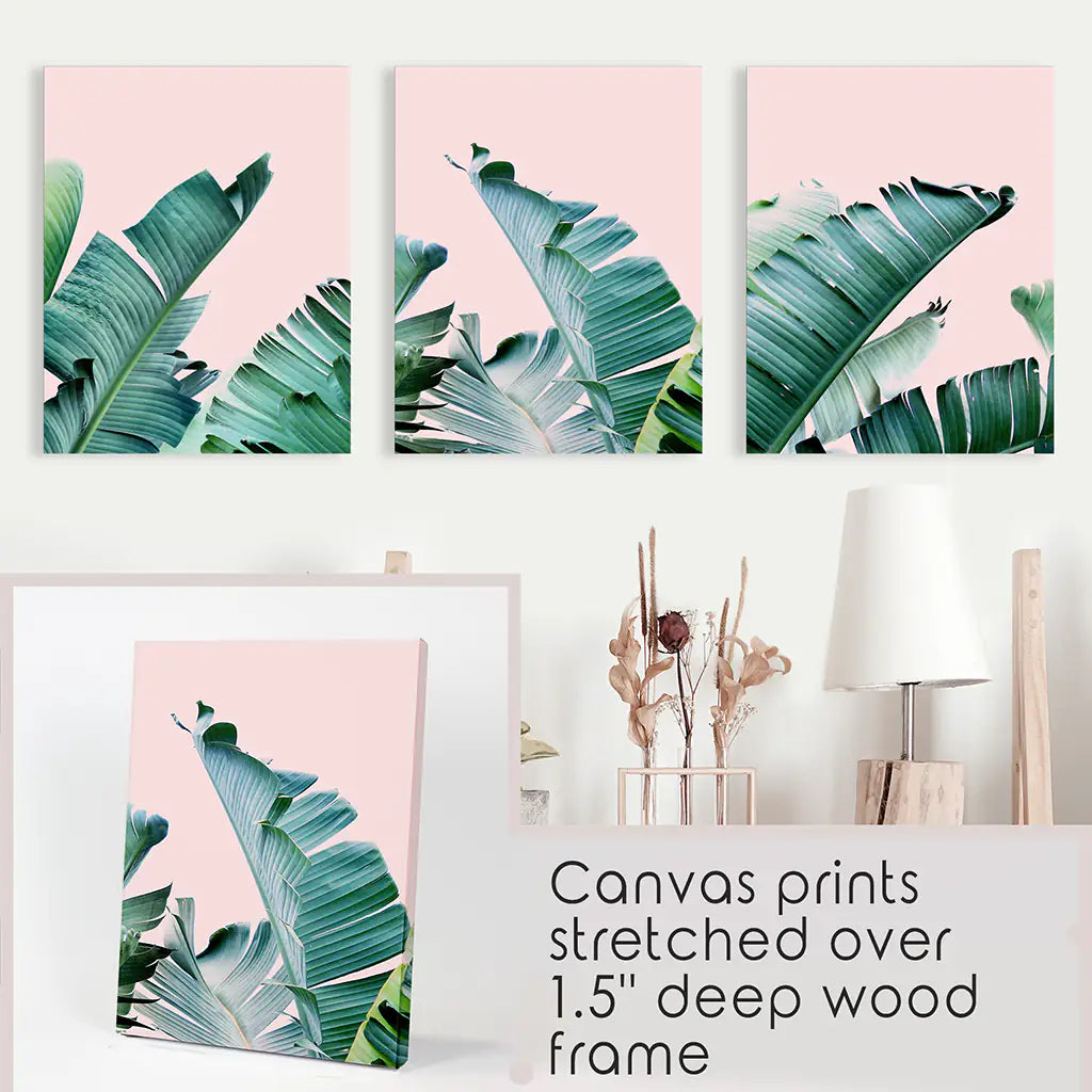 3 Piece Tropical Set. Green Banana Leaf and Pink. Canvas Prints