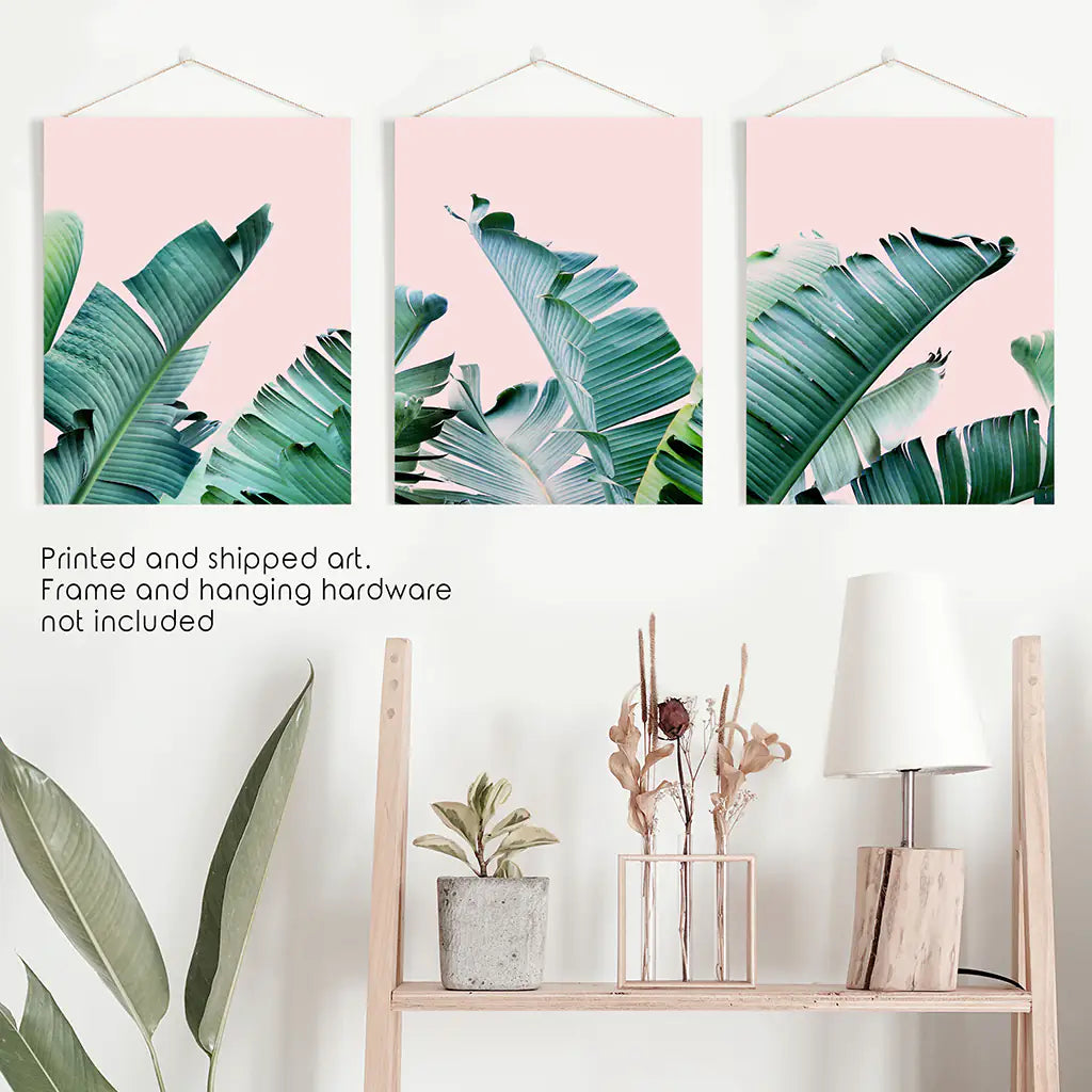 3 Piece Tropical Set. Green Banana Leaf and Pink. Unframed Prints