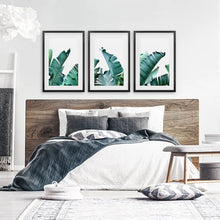 Load image into Gallery viewer, Tropical 3 Piece Set. Banana Green Large Leaves. Black Frames with Mat
