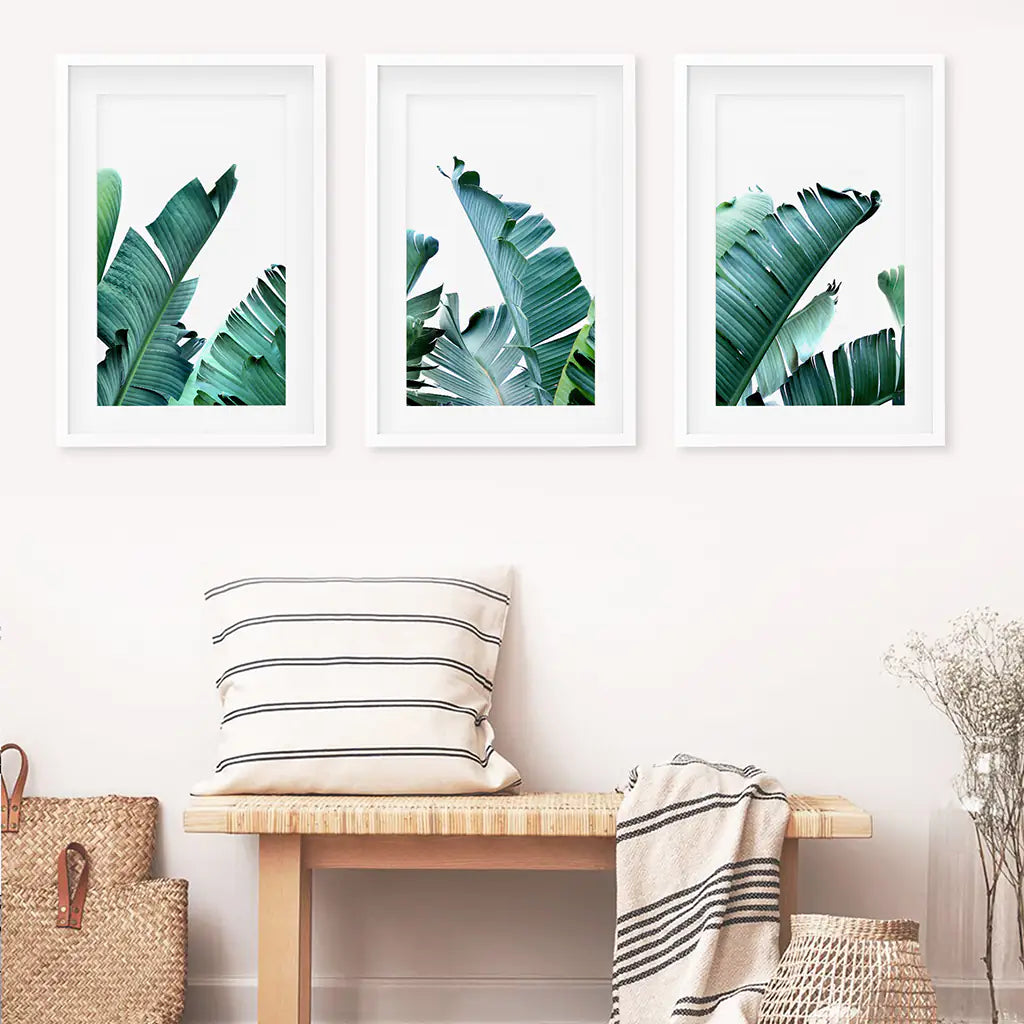 Tropical 3 Piece Set. Banana Green Large Leaves. White Frames with Mat