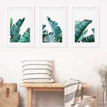 Load image into Gallery viewer, Tropical 3 Piece Set. Banana Green Large Leaves. White Frames with Mat

