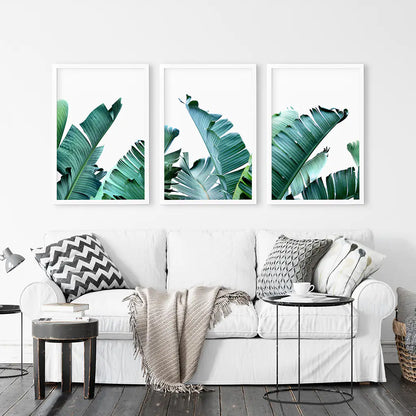 Tropical 3 Piece Set. Banana Green Large Leaves. White Frames