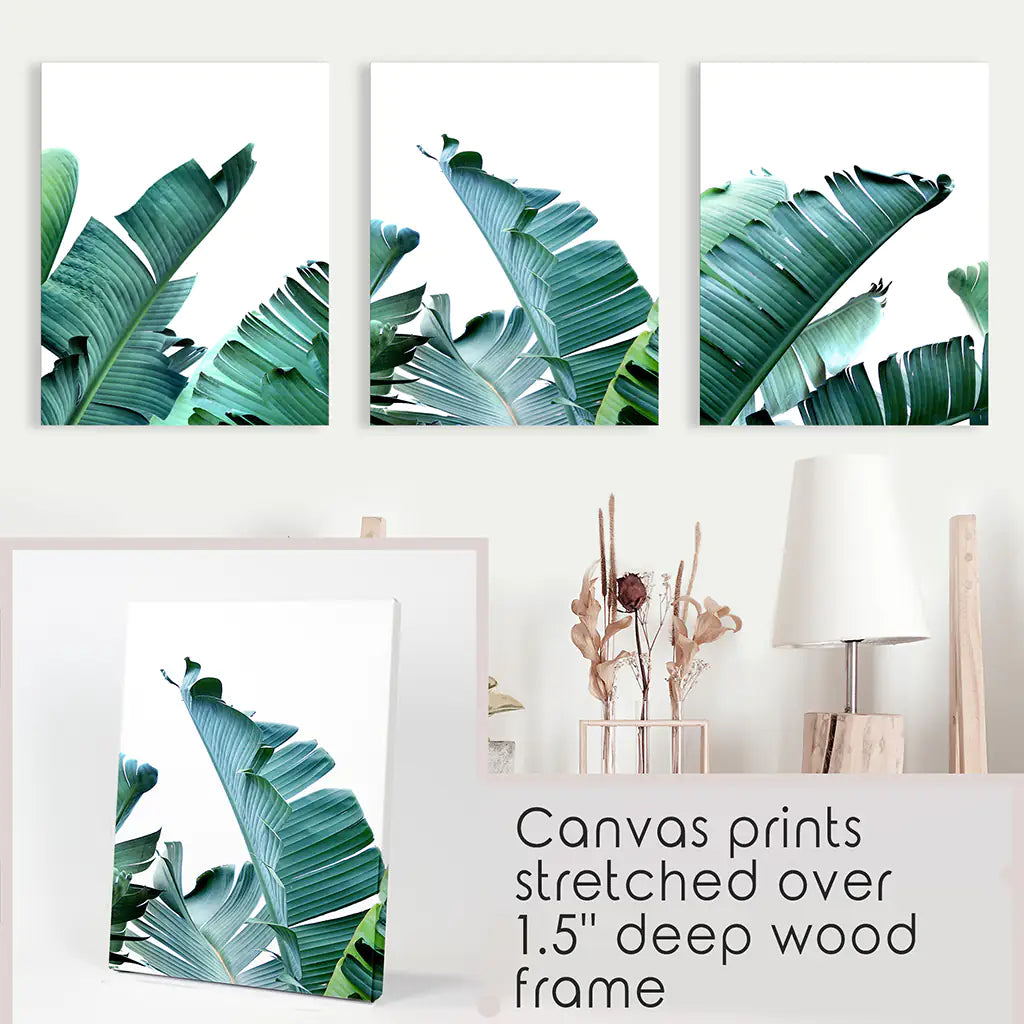 Tropical 3 Piece Set. Banana Green Large Leaves. Wrapped Canvas