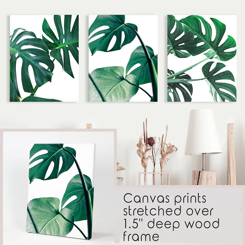 Tropical Set of 3 Monstera Wall Art. Green Leaf Decor. Stretched Canvas Prints