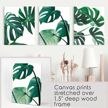 Load image into Gallery viewer, Tropical Set of 3 Monstera Wall Art. Green Leaf Decor. Stretched Canvas Prints
