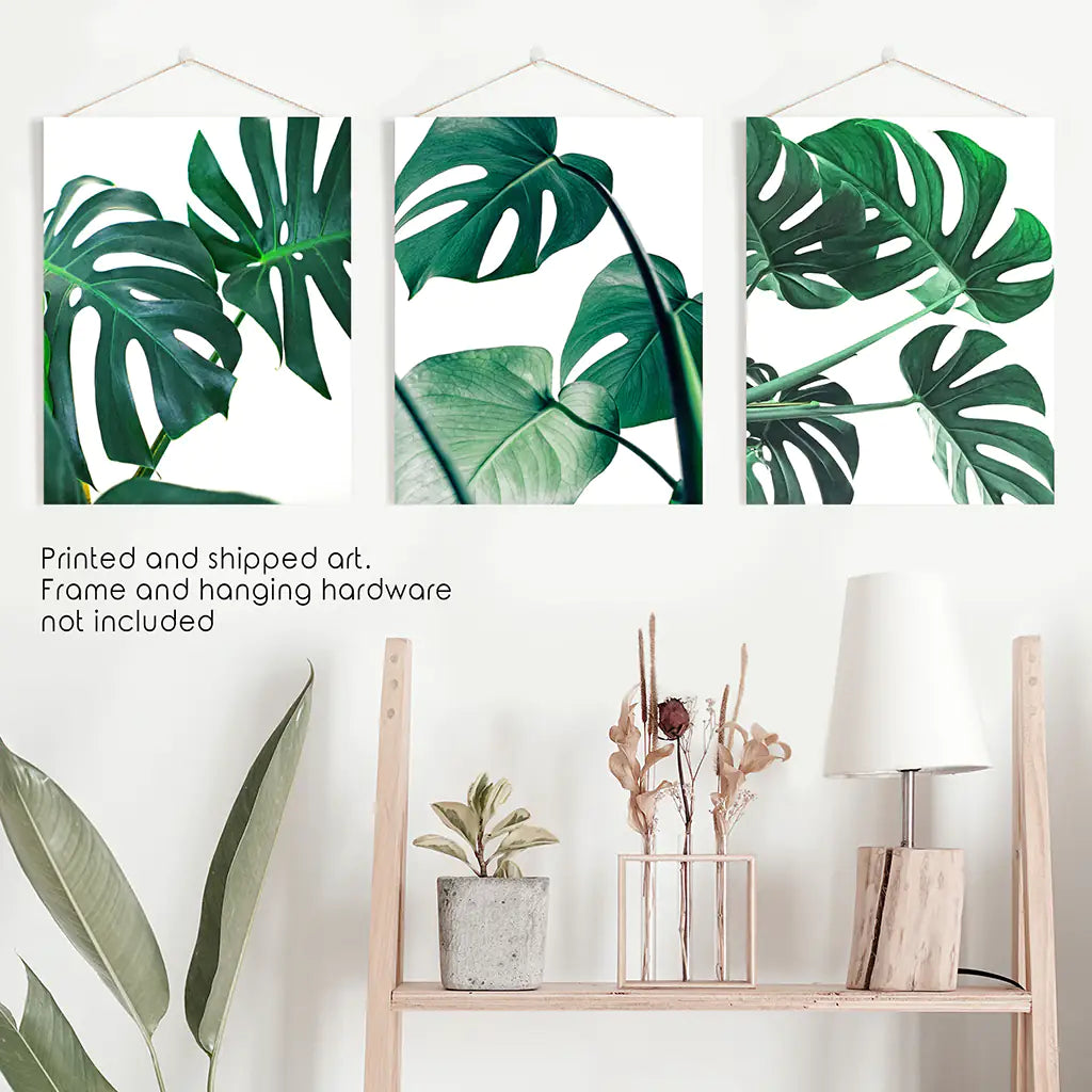 monstera decor 3 Piece Green Monstera Leaf Print Set. Tropical Decor Print