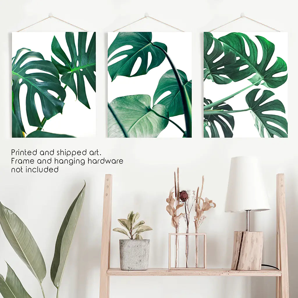 Tropical Set of 3 Monstera Wall Art. Green Leaf Decor. Unframed Prints