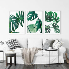 Load image into Gallery viewer, Tropical Set of 3 Monstera Wall Art. Green Leaf Decor. White Frames

