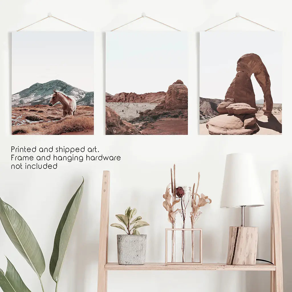 Arches National Park Wall Art Set. Horse in the Desert