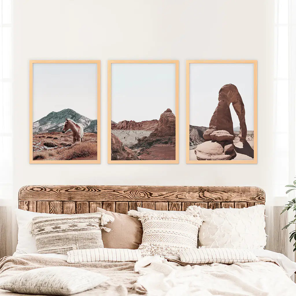 Arches National Park Wall Art Set. Horse in the Desert