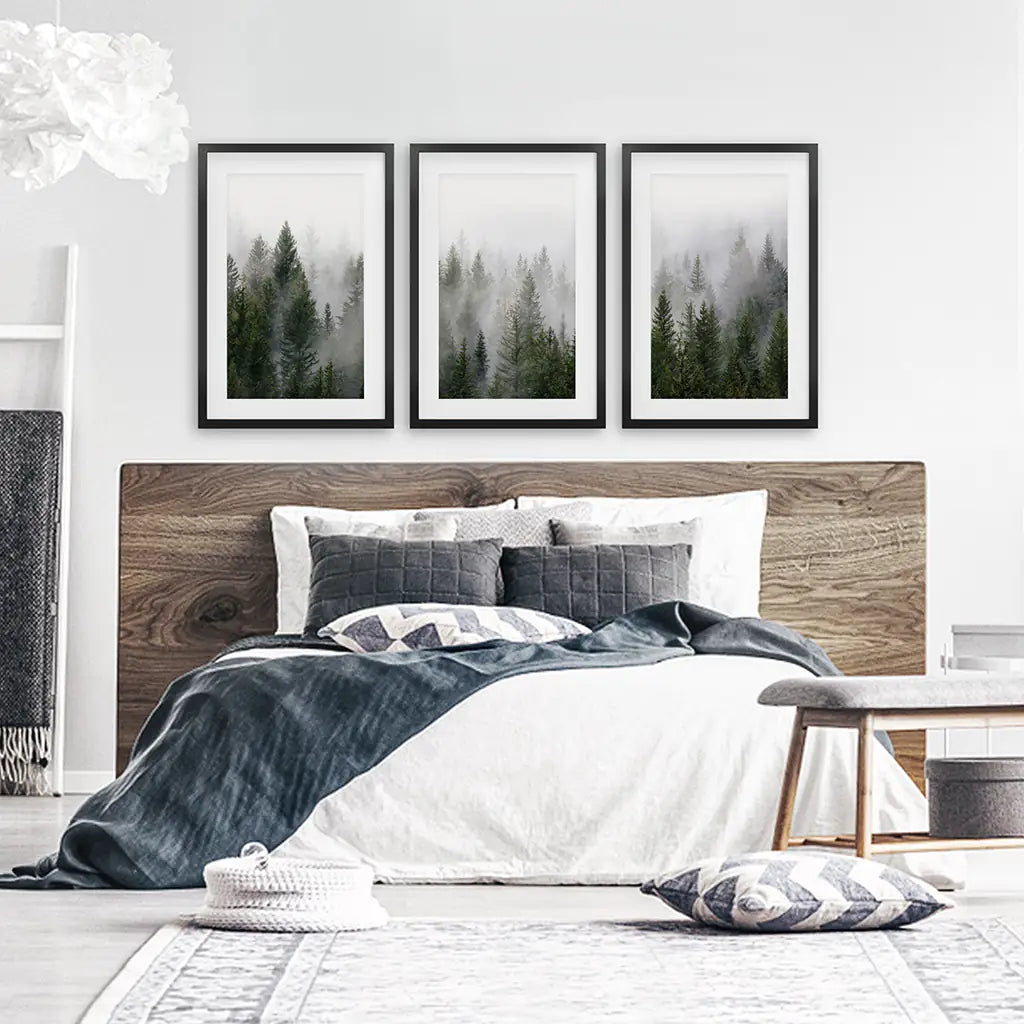 Green Pine Tree Forest. Foggy Nature Wall Art Prints