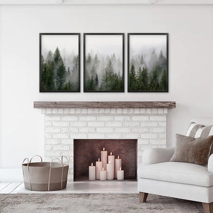 Green Pine Tree Forest. Foggy Nature Wall Art Prints