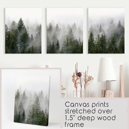 Green Pine Tree Forest. Foggy Nature Wall Art Prints