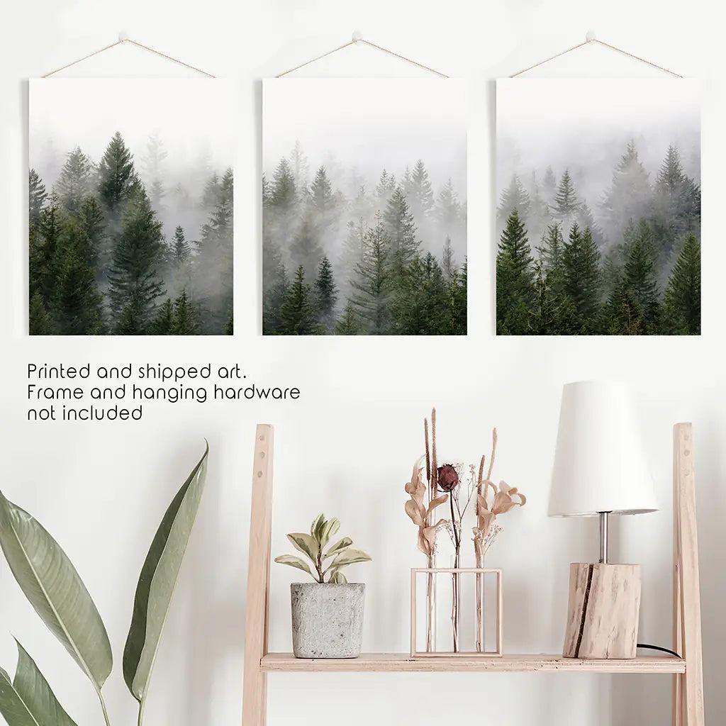 Green Pine Tree Forest. Foggy Nature Wall Art Prints