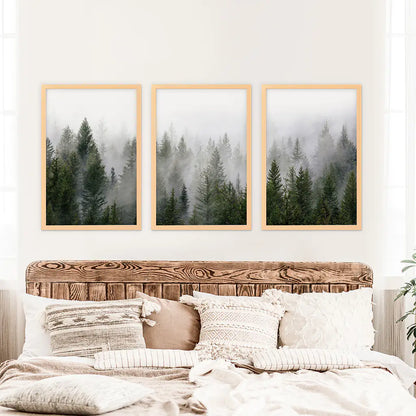 Green Pine Tree Forest. Foggy Nature Wall Art Prints