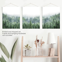 Load image into Gallery viewer, Green Forest in Fog. Triptych Wall Art. Unframed Photo Set
